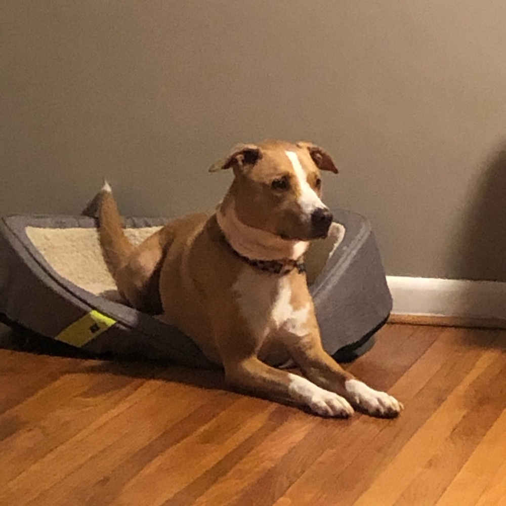 Meet your Posher, Christina